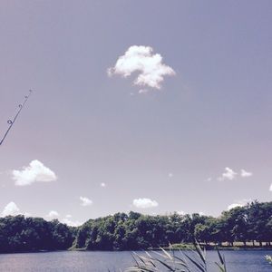 Meet your Posher, Franny